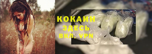 spice Гусь-Хрустальный