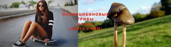 бутират Гусев