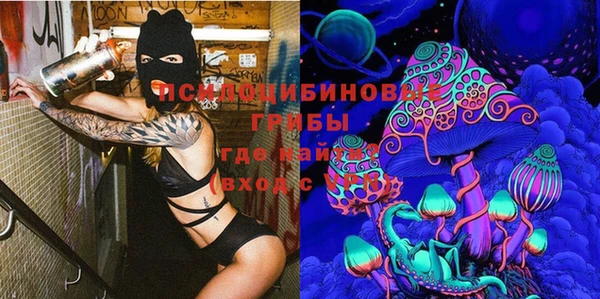 spice Гусь-Хрустальный